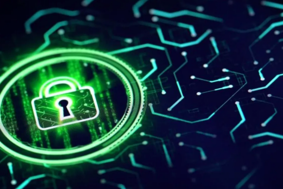 Key Principles of Data Privacy and Security Every Organization Should Adopt