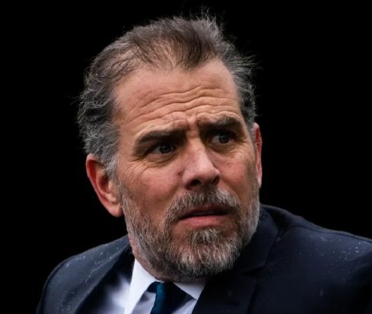 Hunter Biden Net Worth 2023: Age, Bio, Career, Awards & More