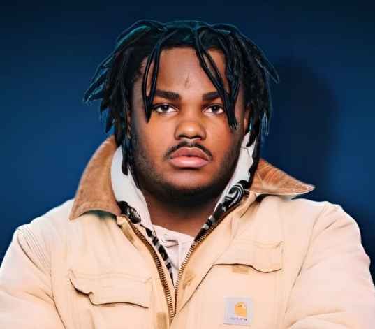 Tee Grizzley Net Worth 2023: Age, Bio, Career, Awards & More